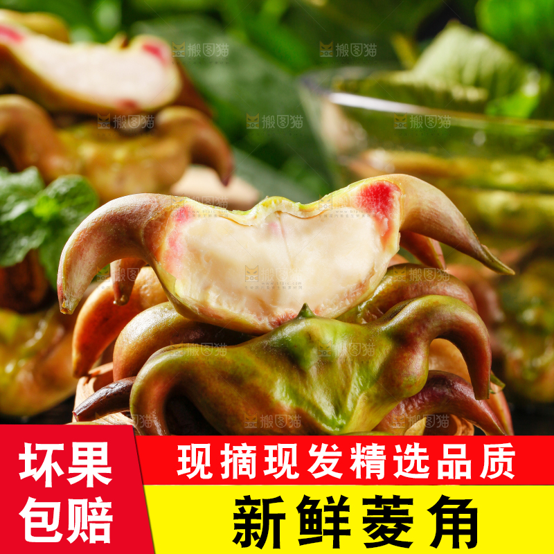 篮子里装着洪湖菱角