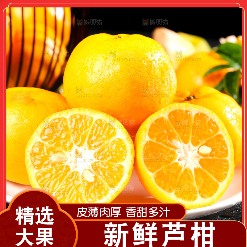 黑底上的福建芦柑