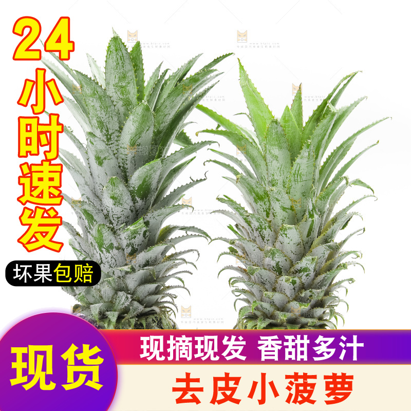 白底上放着泰国小菠萝