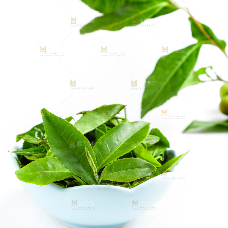 白底上摆放着茶叶子