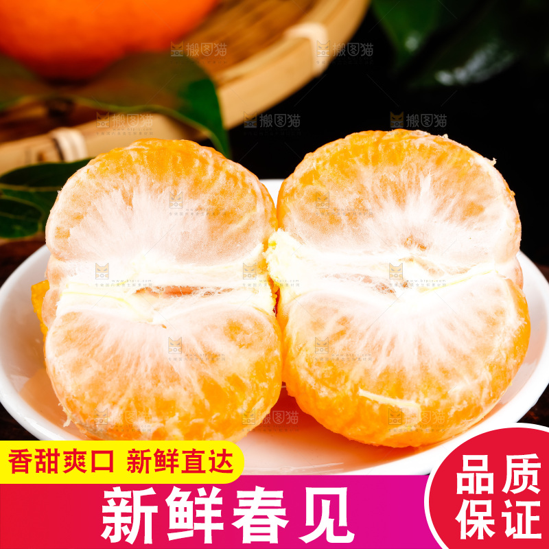 深底上的春见柑桔