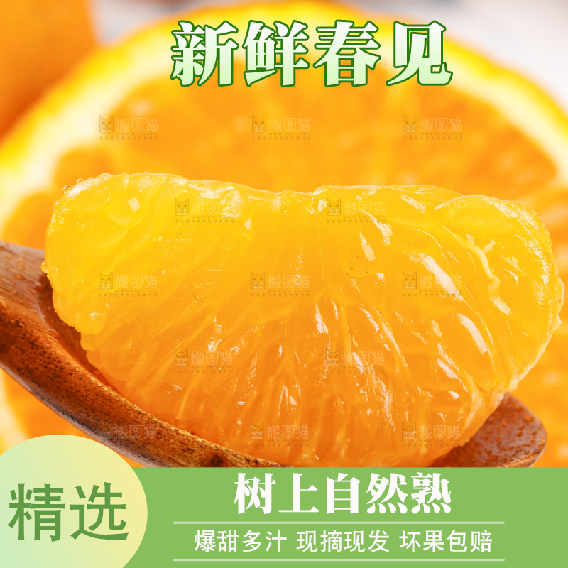 浅底上的春见耙耙柑