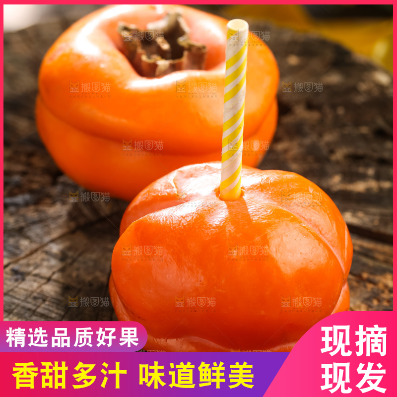 木底上的磨盘大柿子