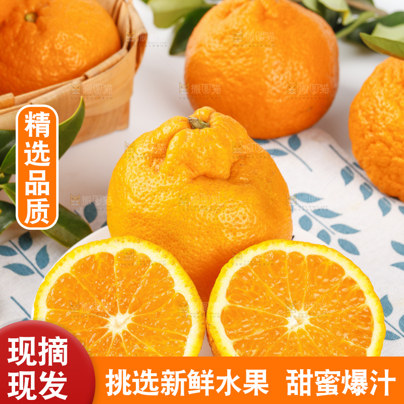 浅底上的春见耙耙柑