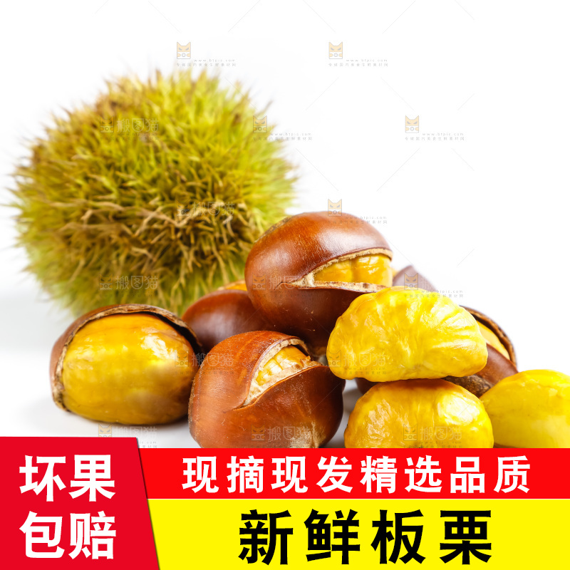白底上摆放着迁西板栗