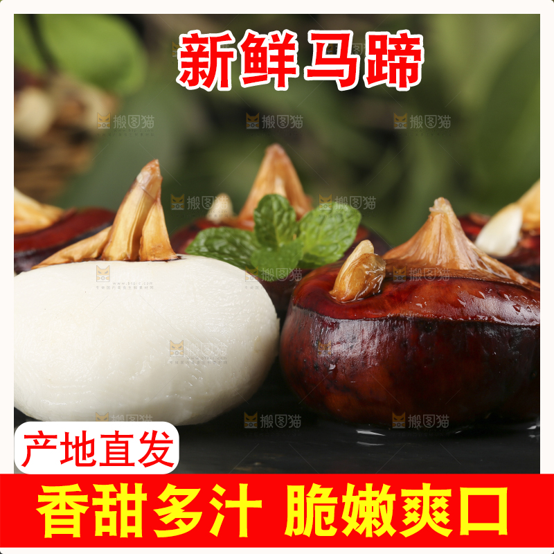 黑石板上的荔浦马蹄