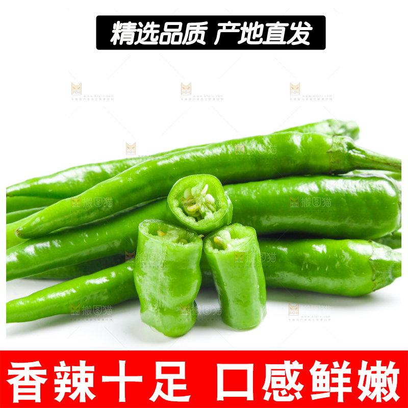 白底上摆放着新鲜杭椒