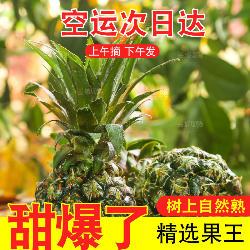 黑石板上的新鲜小菠萝