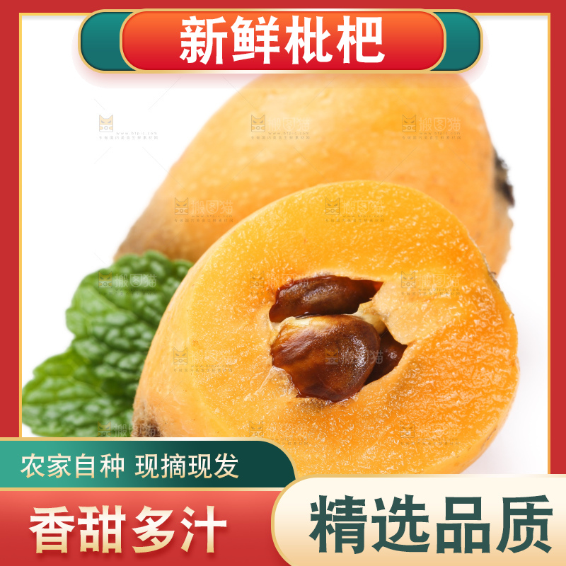 白底上的枇杷