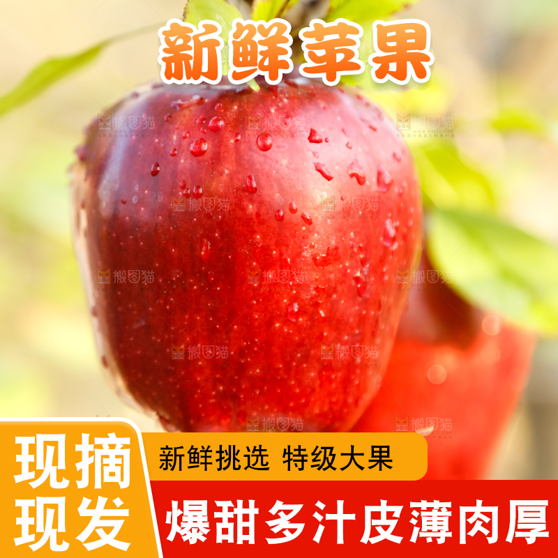 树上挂着冰糖心苹果