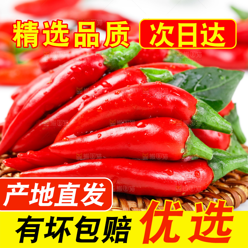 白底上摆放着广西小米椒