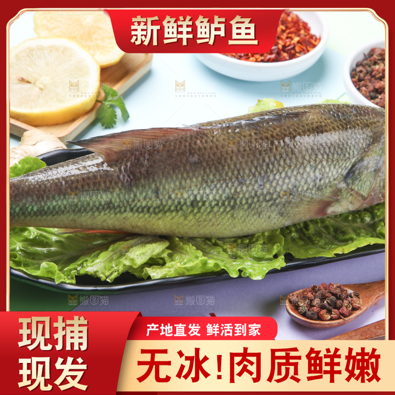 盘子里装着野生鲈鱼