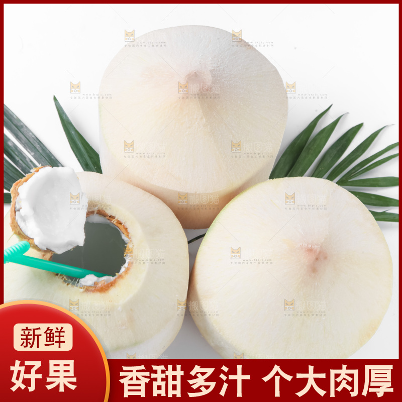白底上青椰子