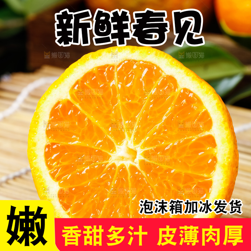 竹底上的春见耙耙柑