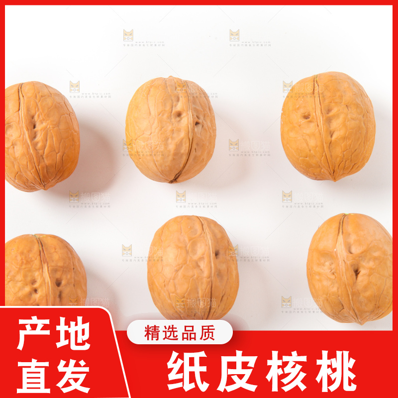 白底上的薄皮核桃