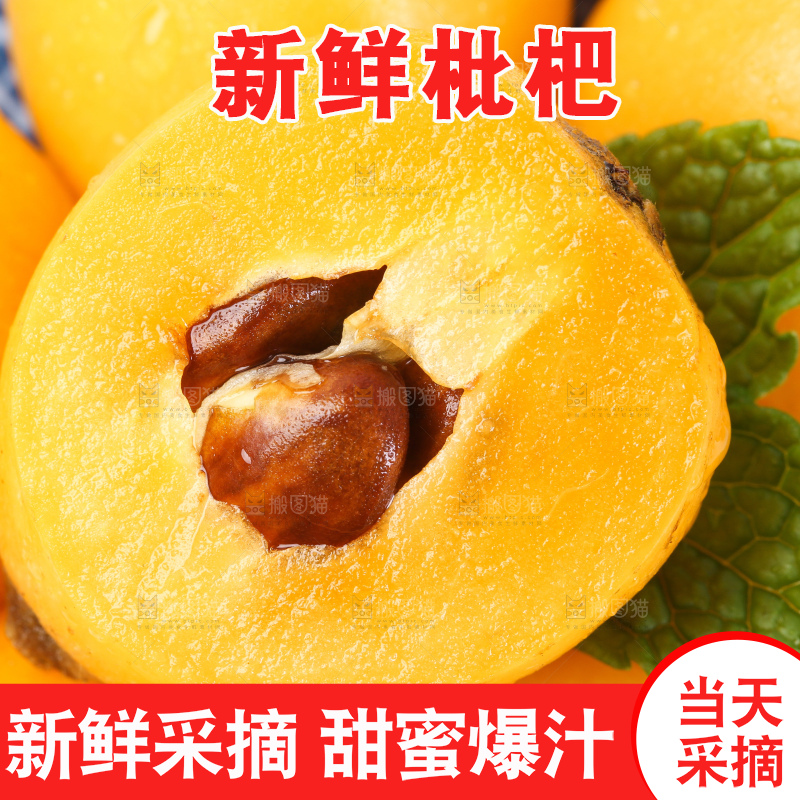 白底上的枇杷