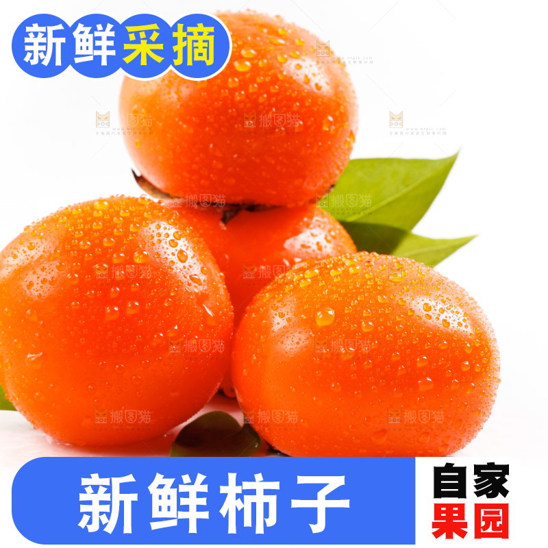 白底上放着软柿子