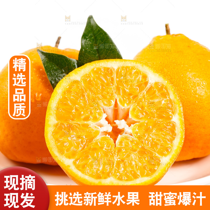 白底上放着耙耙柑