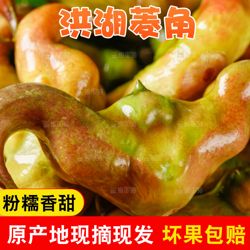 篮子里装着菱角