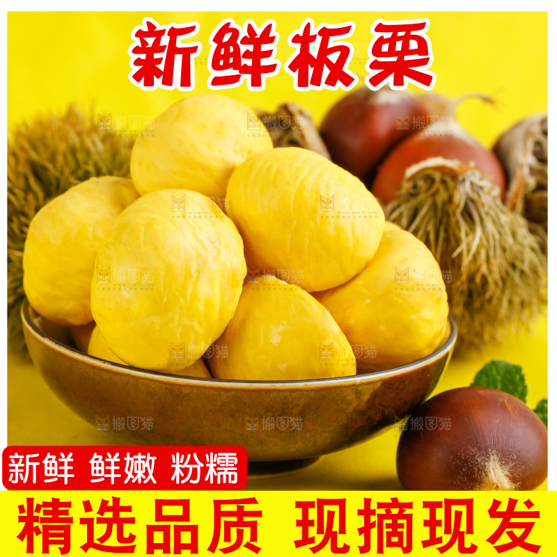 黄底上的迁西板栗