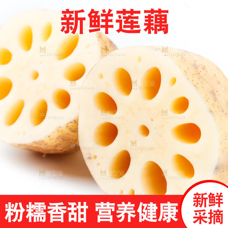 白底上的白莲藕