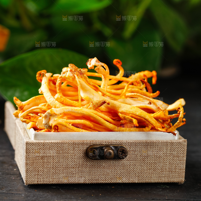 深底上的虫草花