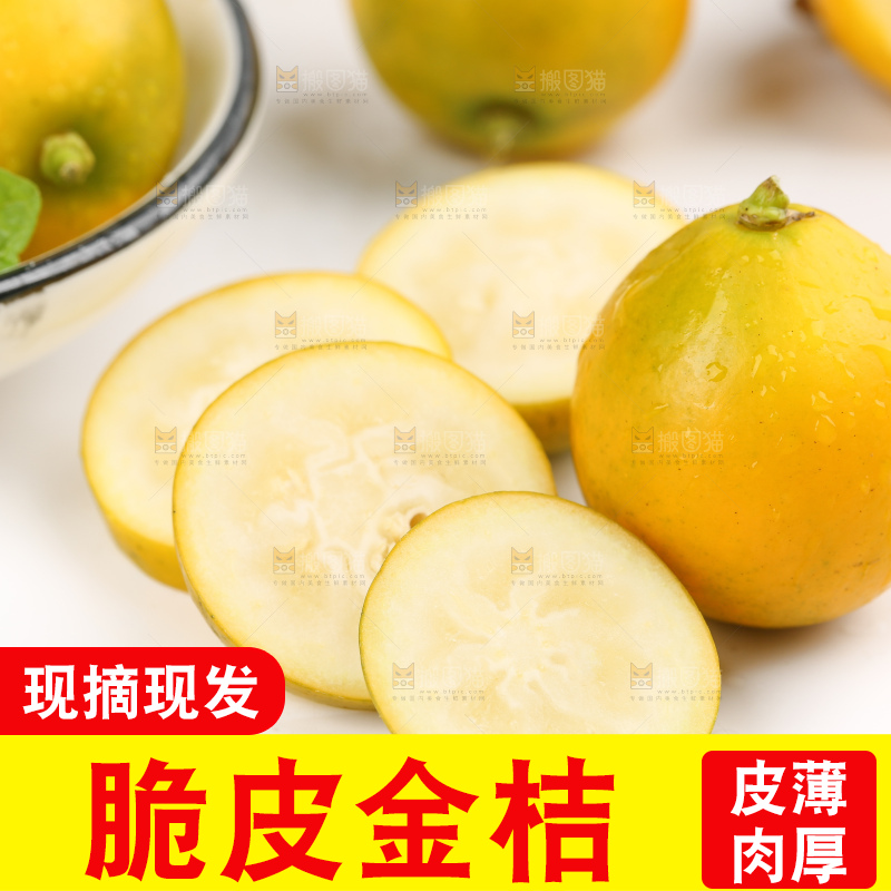 白底上的金桔