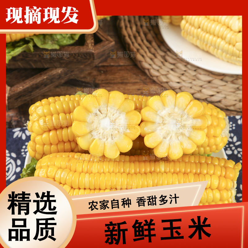 盘子里装着苞米