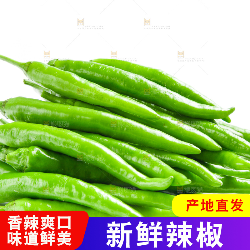 白底上摆放着新鲜杭椒