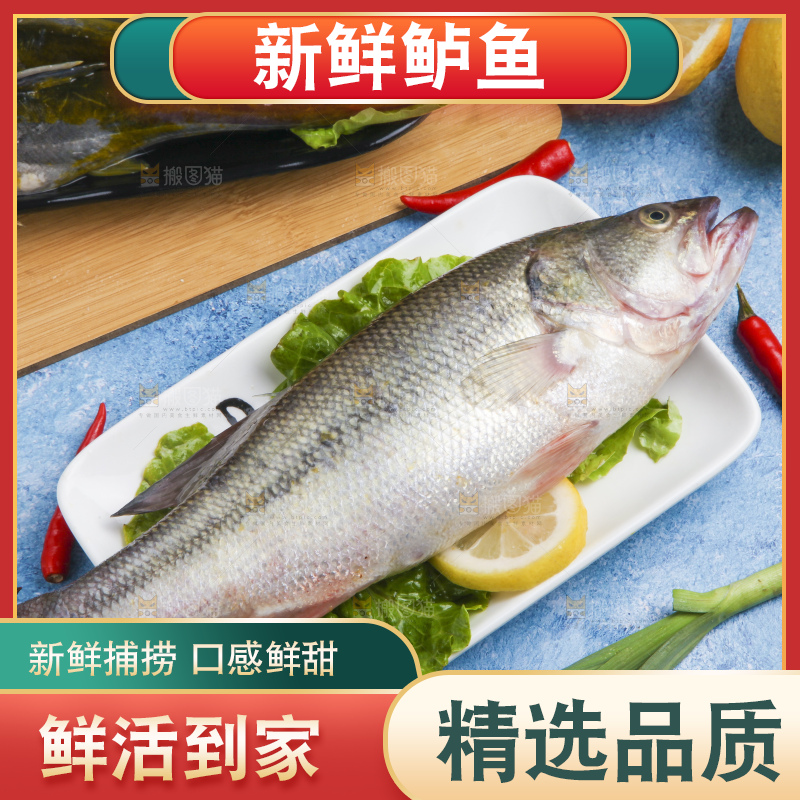 盘子里装着鲈鱼