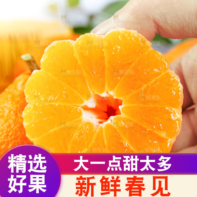 手里拿着新鲜春见