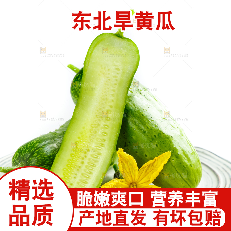 盘子里的东北旱黄瓜