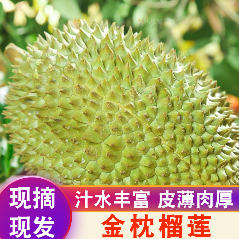 木板上的金枕头榴莲