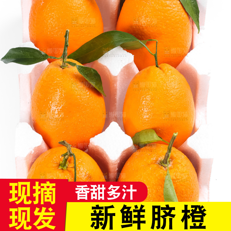 箱子里的秭归脐橙