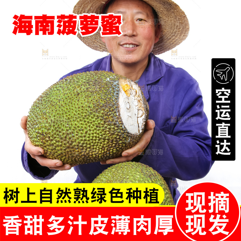 农民手里拿着菠萝蜜