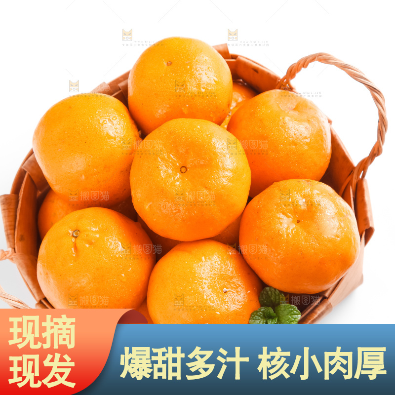 篮子里的广西椪柑