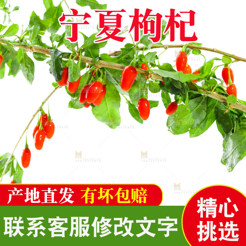 白底上放着枸杞