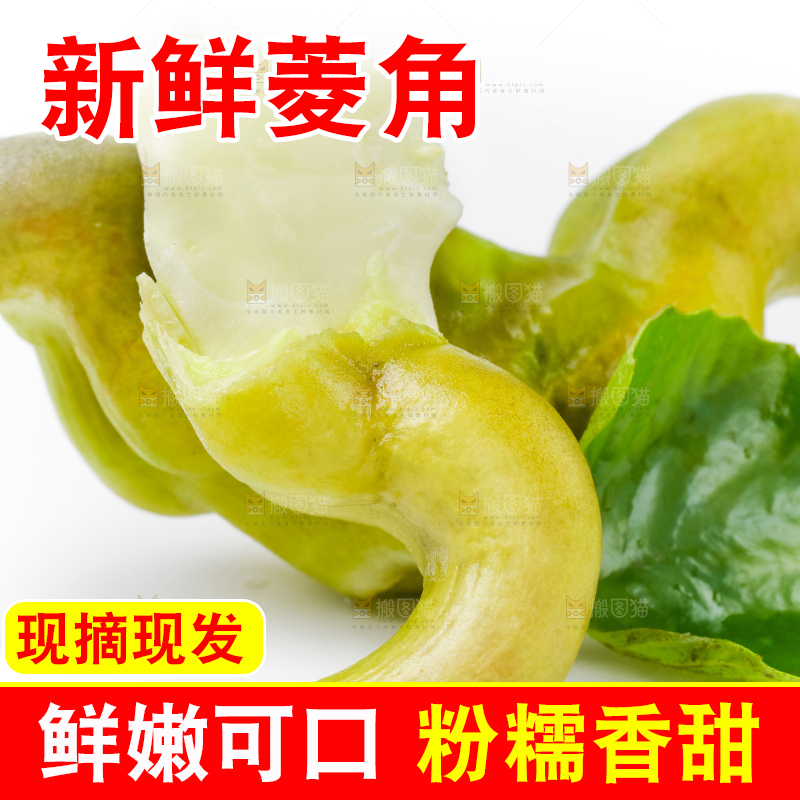 白底上放着洪湖菱角