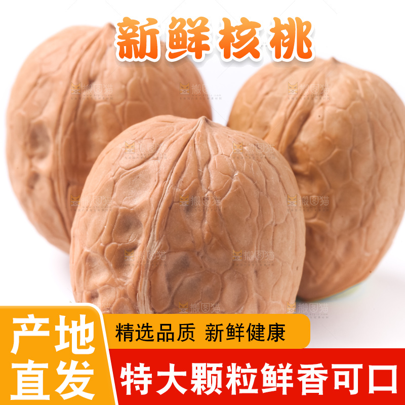 白底上的新疆核桃