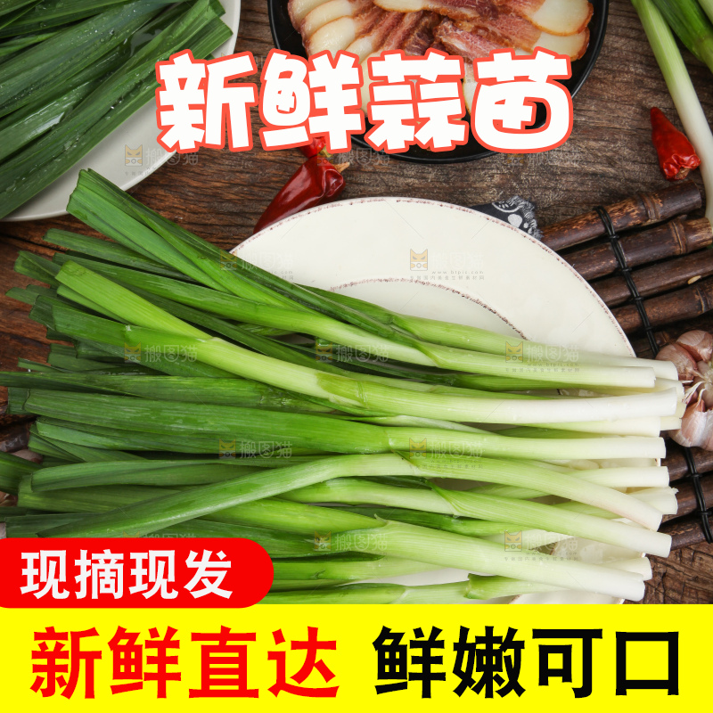 盘子里装着红根蒜苗