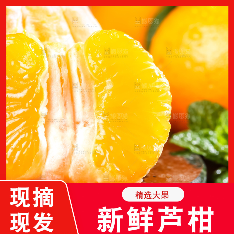 黑底上的福建芦柑
