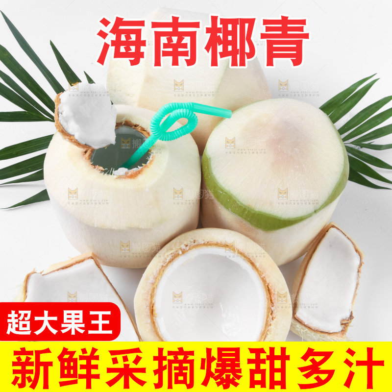 白底上青椰子