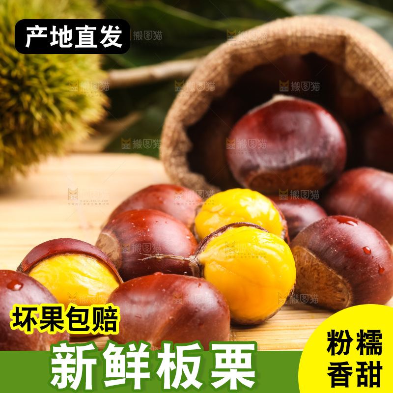 深底上的迁西板栗