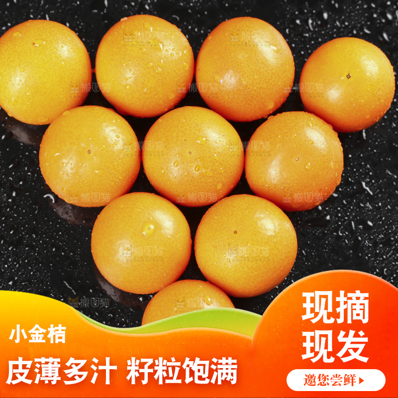 黑石板上的广西金钱橘