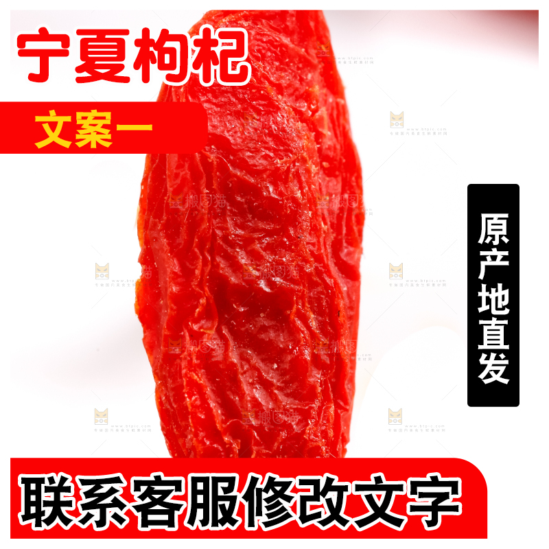 浅底上的宁夏枸杞