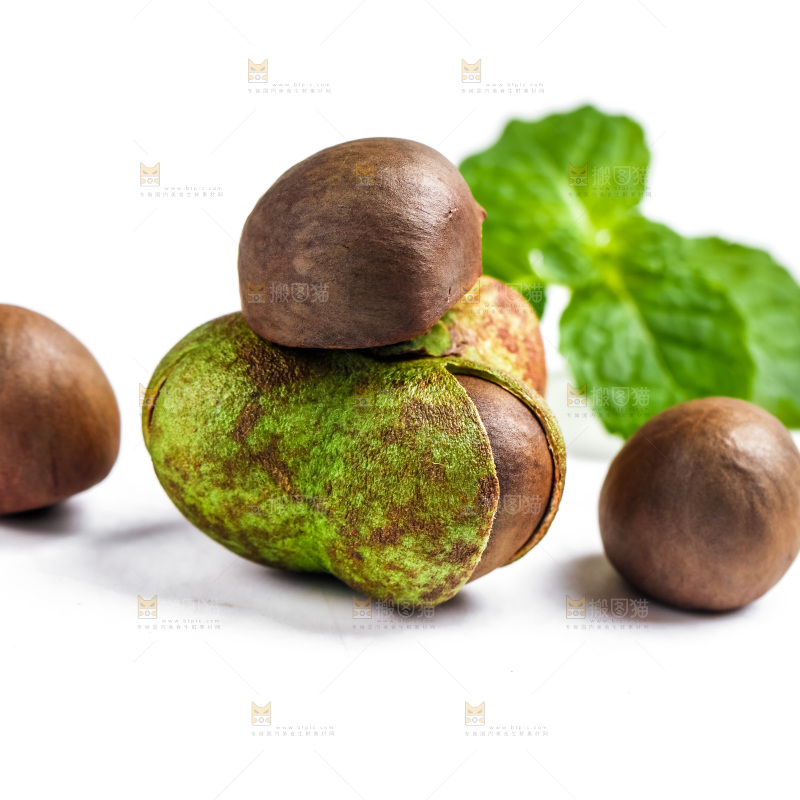 白底上摆放着茶树果