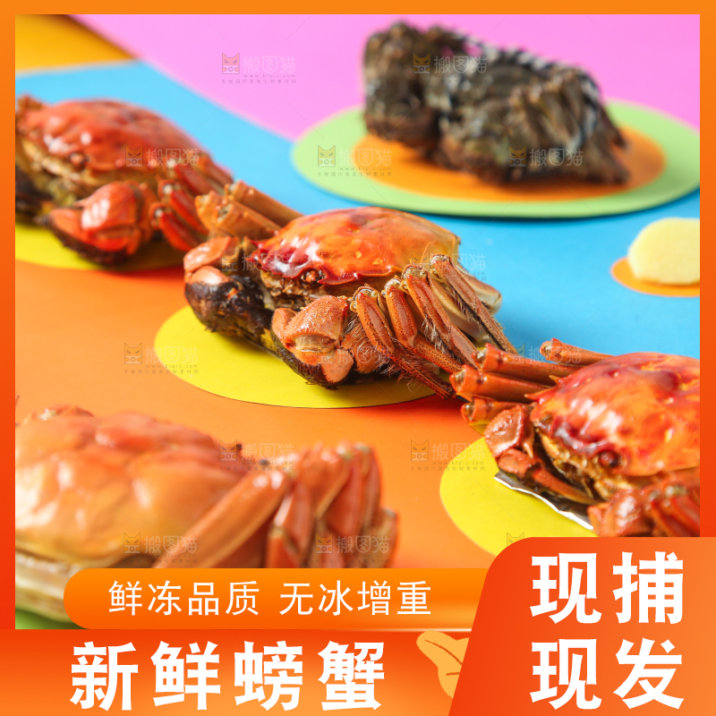 彩底上的螃蟹
