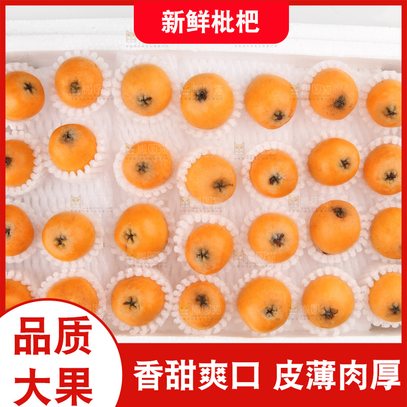 泡沫箱里装着米易枇杷