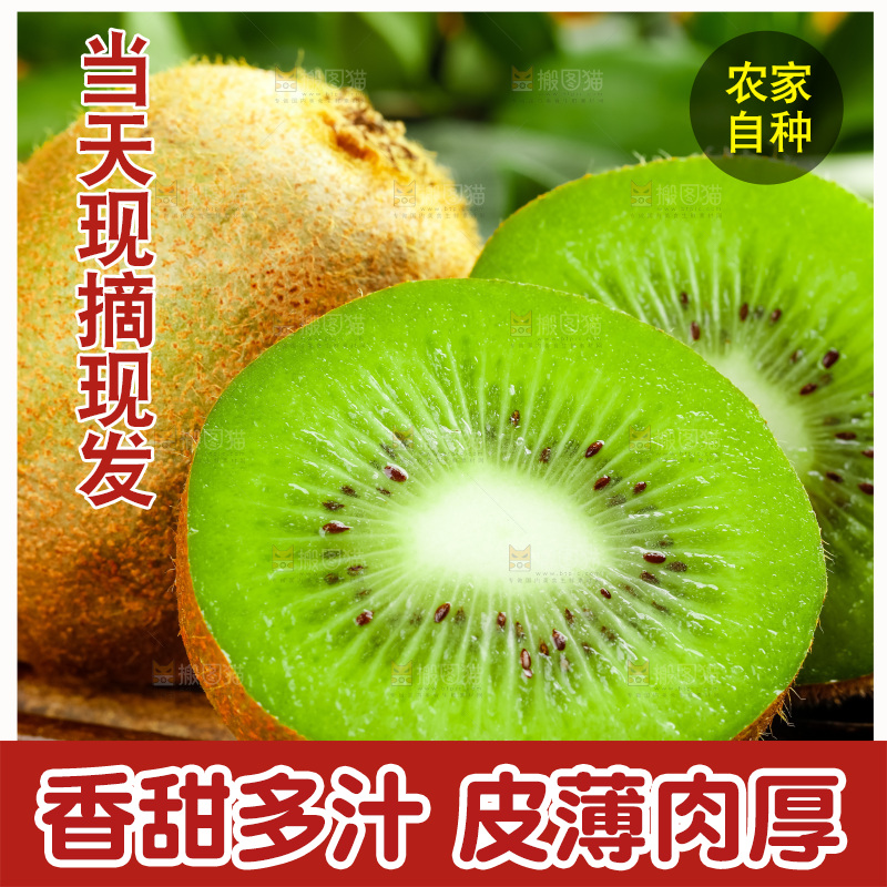 竹底上的陕西猕猴桃