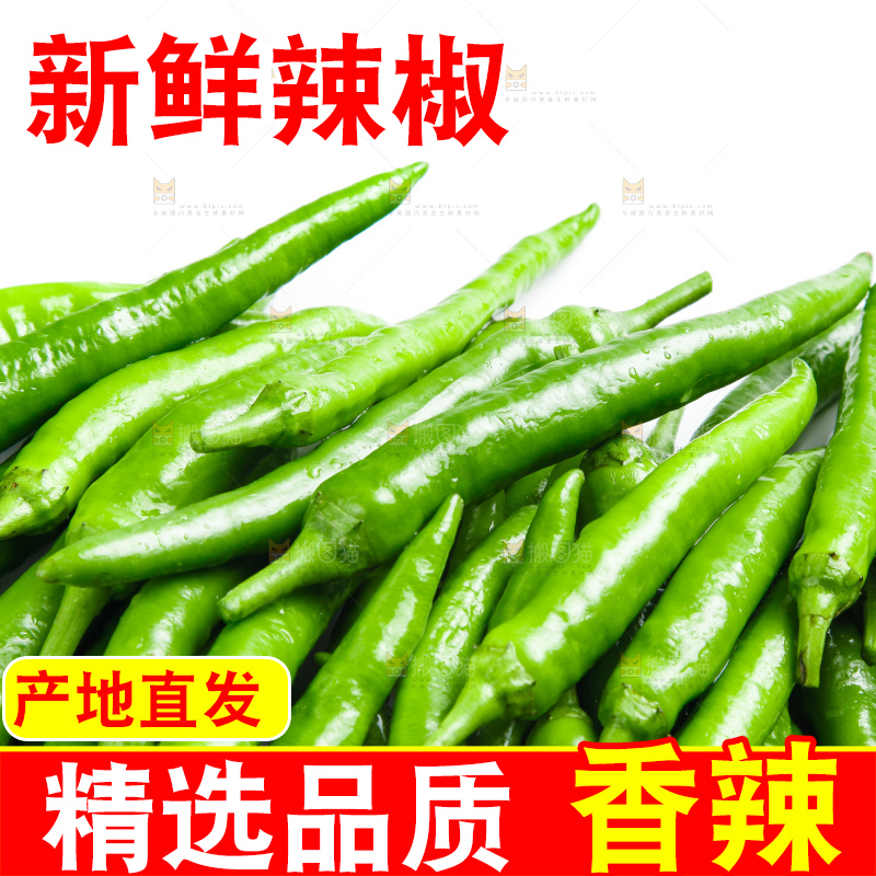 白底上摆放着新鲜杭椒